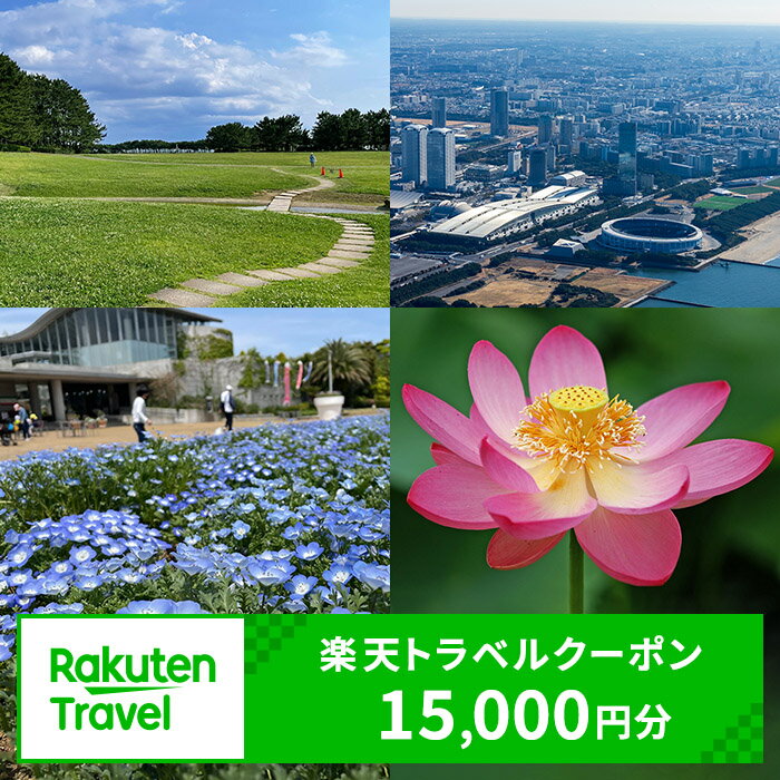 【ふるさと納税】千葉県千葉市の対象施設で使える 楽天トラベルクーポン 寄付額50,000円(クーポン15,000円)　千葉 関東 宿泊 宿泊券 ホテル 旅館 旅行 旅行券 観光 トラベル チケット 旅 宿 券