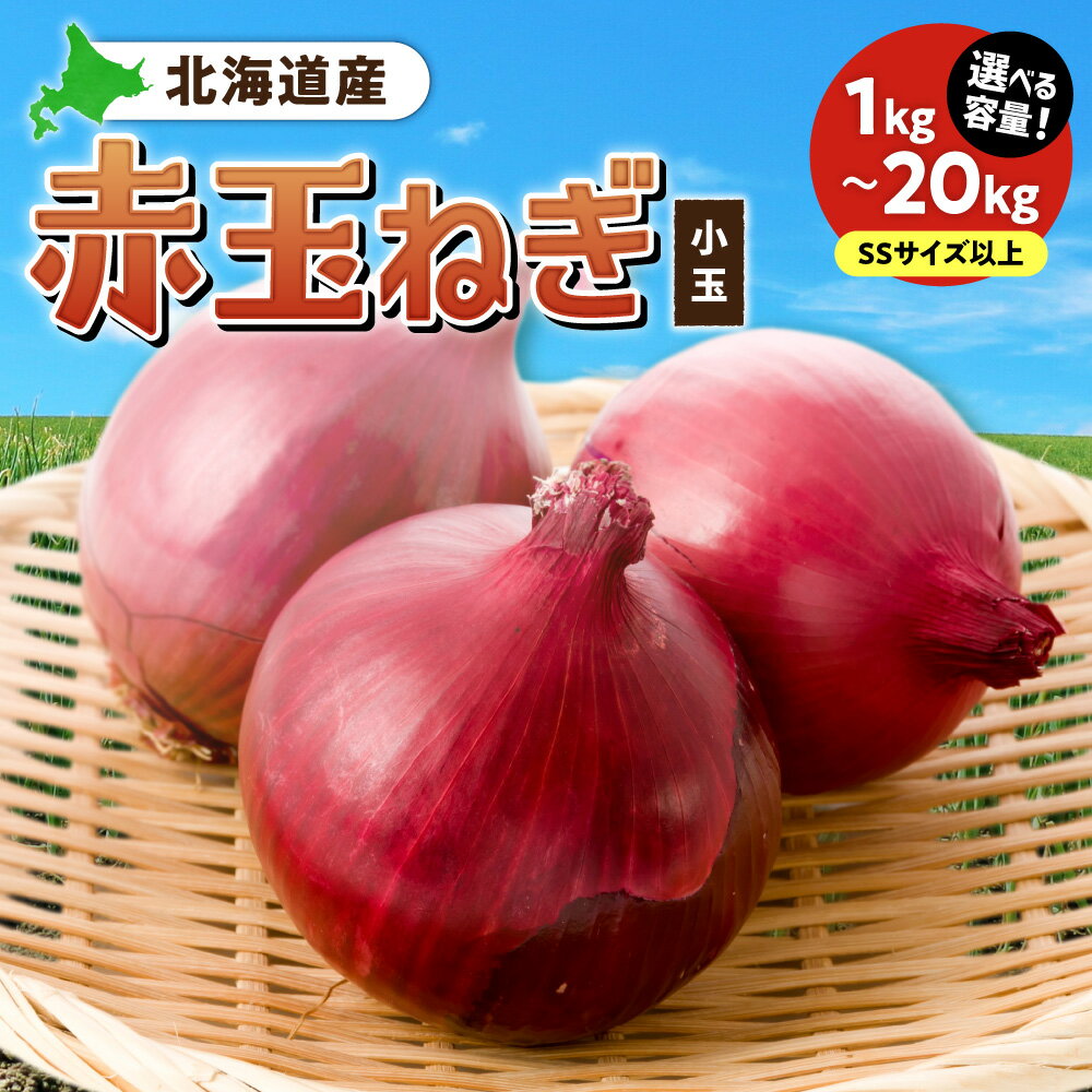 【ふるさと納税】 北海道産 赤玉ねぎ 小玉【 選べる 容量 】 SSサイズ 1kg 2kg 5kg 10kg 20kg 野菜 玉葱 オニオン たまねぎ 国産 お取り寄せ 北海道 札幌市