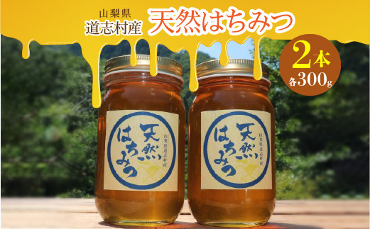 
道志村産　天然はちみつ（300g×2本） ふるさと納税 はちみつ ハチミツ 蜂蜜 ハニー パン 食パン 山梨県 道志村 送料無料 DSD004
