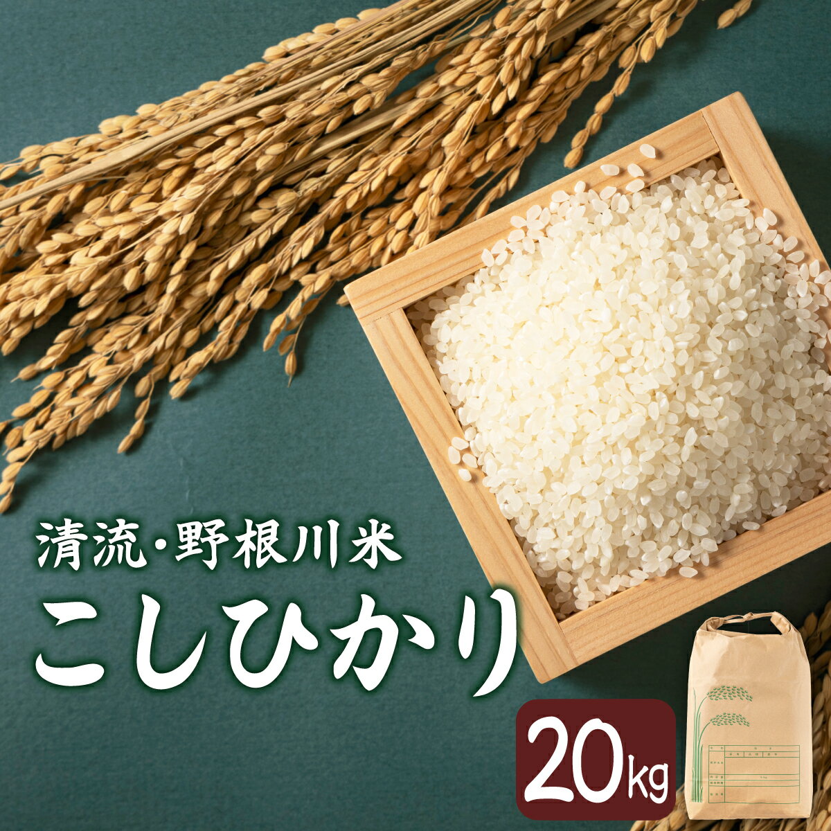 【ふるさと納税】野根川米20kg（20kg×1袋） こしひかり【MZ003】東洋町産 国産 米 白米 精米 コメ こめ もっちり 四国 お取り寄せ 家庭用 自宅用 贈り物 送料無料