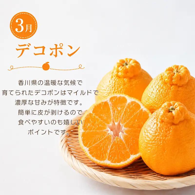 【定期便3回】 春野菜 いちご デコポン 果物 定期便