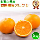 【ふるさと納税】【限定】 【先行予約】秀品 清見オレンジ 和歌山 有田 S～2Lサイズ 大きさお任せ 5kg