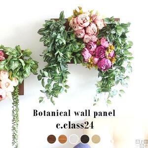 Botanical c.class 24　ホワイトウッド