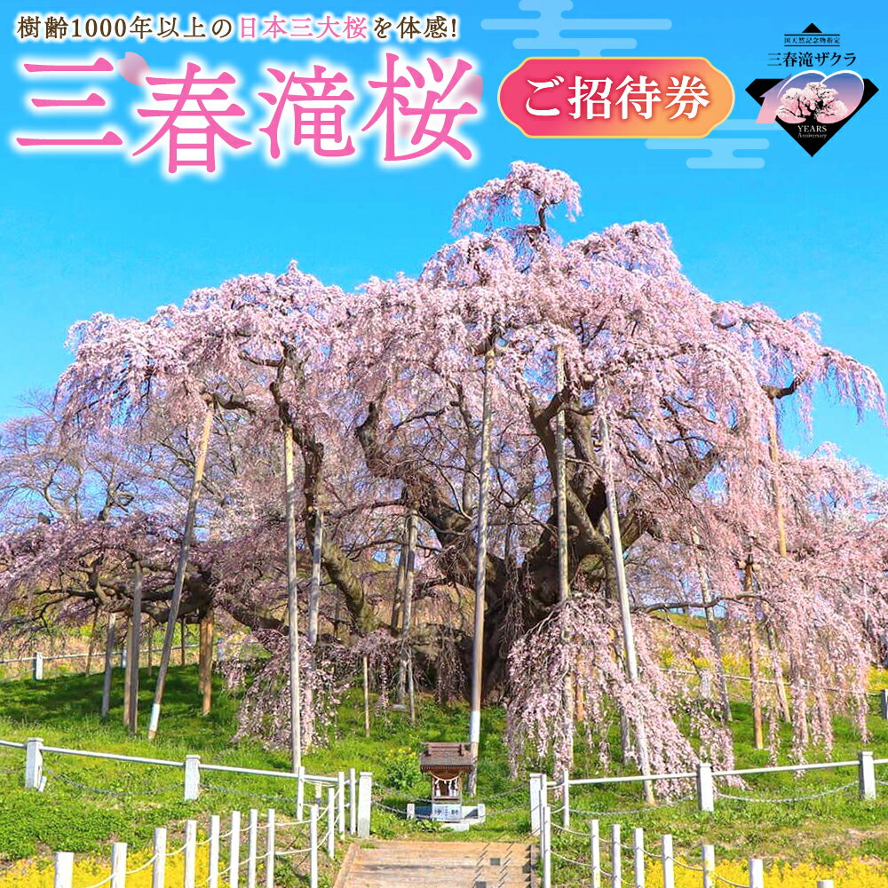 【ふるさと納税】三春滝桜 春の観桜ご招待券（滝桜観桜券）　チケット 桜 体験 福島県 三春町　【07521-0172】