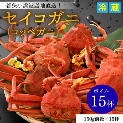 ふるさと納税 小浜市 【先行予約】産地直送/セイコガニ(コッペガニ)ボイル15杯　若狭小浜港・セイコガニ【加福鮮魚】