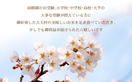 合格祈願米 コシヒカリ 真空米 2合 ( 300g ) × 2個 【令和7年産】 受験 御利益 ご祈祷 合格 合格祈願 小分け 使い切り 5000円 ５０００円以下 福島県 大玉村