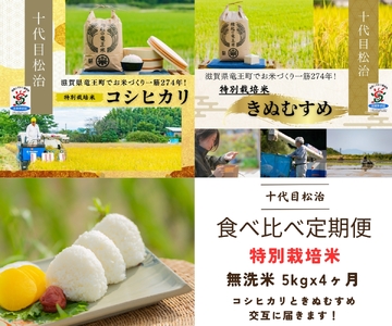 【新米予約】 定期便 コシヒカリ きぬむすめ 食べ比べ 無洗米 5kg × 4ヶ月 ( 令和6年産 先行予約 新米 ｺｼﾋｶﾘ ｺｼﾋｶﾘ ｺｼﾋｶﾘ ｺｼﾋｶﾘ ｺｼﾋｶﾘ ｺｼﾋｶﾘ ｺｼﾋｶﾘ ｺｼﾋｶﾘ ｺｼﾋｶﾘ ｺｼﾋｶﾘ ｺｼﾋｶﾘ ｺｼﾋｶﾘ ｺｼﾋｶﾘ ｺｼﾋｶﾘ ｺｼﾋｶﾘ ｺｼﾋｶﾘ ｺｼﾋｶﾘ ｺｼﾋｶﾘ ｺｼﾋｶﾘ ｺｼﾋｶﾘ ｺｼﾋｶﾘ ｺｼﾋｶﾘ ｺｼﾋｶﾘ ｺｼﾋｶﾘ ｺｼﾋｶﾘ ｺｼﾋｶﾘ ｺｼﾋｶﾘ ｺｼﾋｶﾘ ｺｼﾋｶﾘ ｺｼﾋｶﾘ ｺｼﾋｶﾘ ｺｼﾋｶﾘ ｺｼﾋｶﾘ 