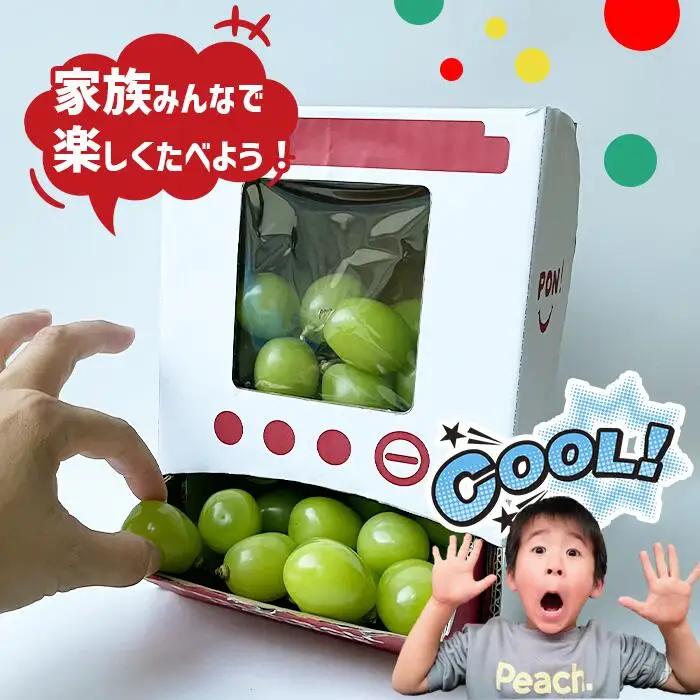 【2026年発送★先行予約】シャインマスカット 山梨 「ポンポンBox 大粒2房分」 154-050-26y ※クール便 |種なし ぶどう ギフト 贈答 山梨県 山梨産 笛吹市 フルーツ シャイン マ