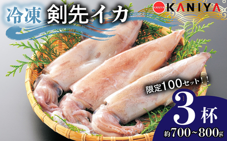 【限定100セット・寄附額変更中】イカ 剣先イカ 約 700g ~ 800g 冷凍 下関 《蟹屋：KNY》