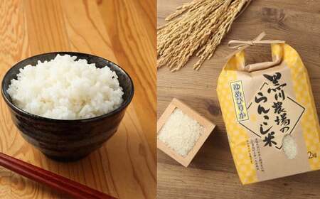 【10ヶ月定期便】 らんこし米 食べ比べ （ななつぼし・ゆめぴりか） 各2kg（黒川農場） お米 米 コメ 白米 精米 ご飯 2kg 北海道 蘭越町