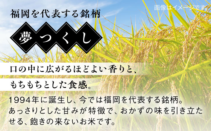 【全3回定期便】【こだわり精米】令和5年 糸島産 夢つくし 5kg 糸島市 / RCF 米 お米マイスター [AVM003]