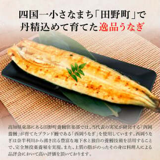 田野町産うなぎの白焼き(大) 1尾×3回 定期便 3ヶ月 定期コース 1尾あたり120～150g タレ付き 山椒付き うなぎ 鰻 ウナギ 白焼 無頭 おいしい 国産 個包装 お取り寄せ 冷凍 配送_イ