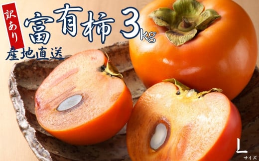 【 訳あり 】令和7年産 富有柿 3kg Lサイズ 14個 カキ かき 果物 くだもの フルーツ 表面 キズ 色ムラ 家庭用規格 のため 訳アリ わけあり 自宅用 家庭用 岐阜県 本巣市 高橋柿ファーム 先行予約 11月中旬～ 発送予定 7000円