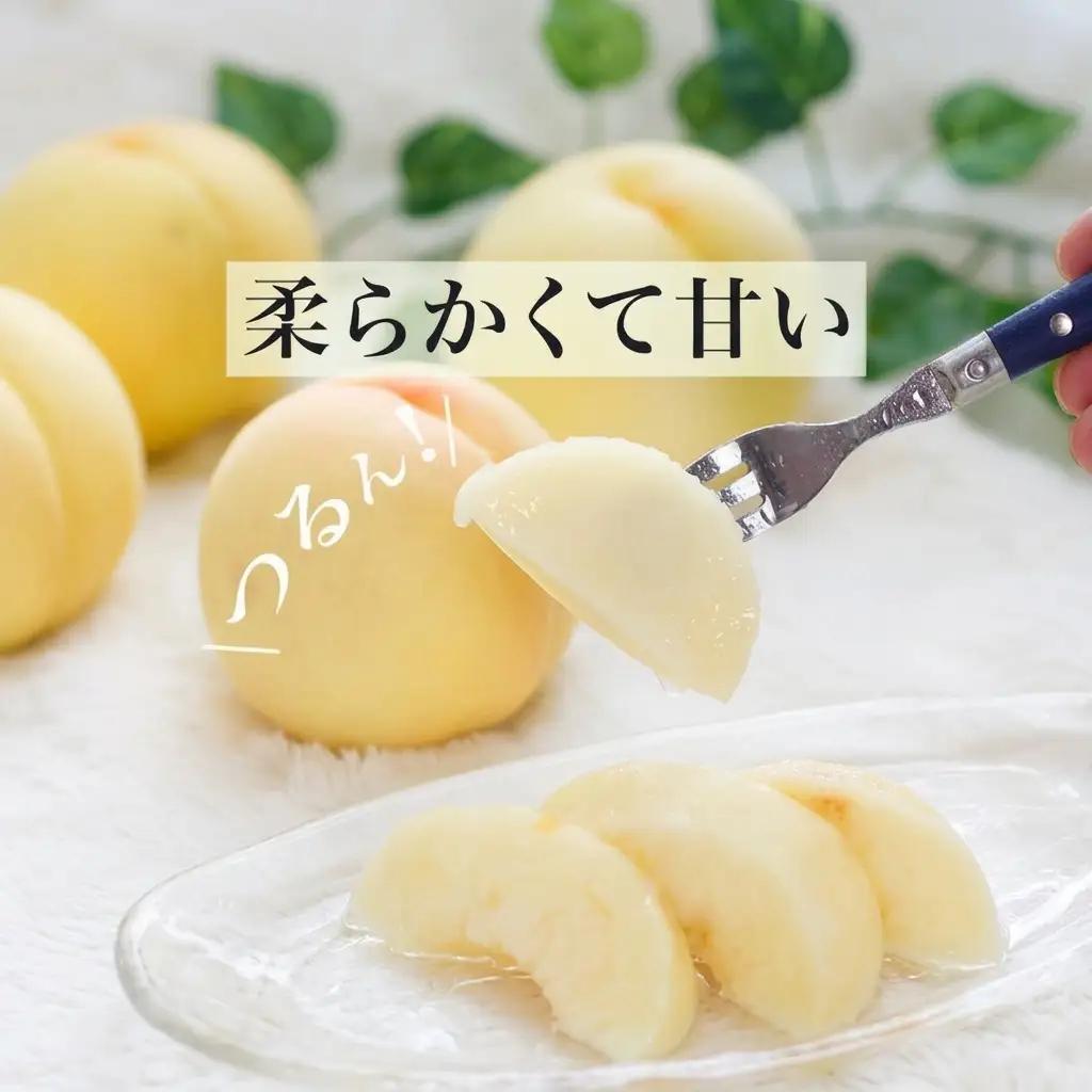 白桃 フルーツ もも 化粧箱入り 岡山県産 白桃【8玉 1.7kg以上】【先行予約】