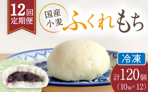 【12回定期便】 国産 小麦の ふくれもち （ 冷凍 ）   計120個 　 ベーグル あんこ もちもち 多治見市/ひとてま屋  [TDS008]