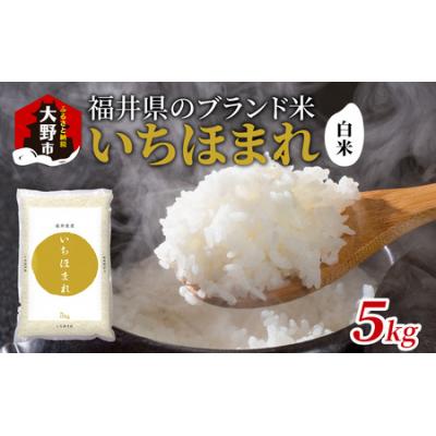 ふるさと納税 大野市 【令和7年産】福井県産 いちほまれ(白米)5kg