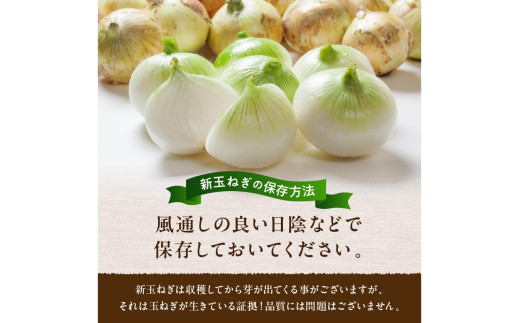 【訳あり】新たまねぎ%%UPDATE%%%%UPDATE%%