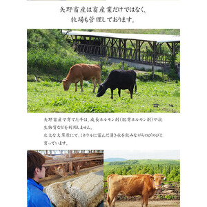 【矢野畜産】熊本県産 あか牛 モモ カタ バラ 部位ミックス 肩ロース 各500g 合計1kg すき焼き しゃぶしゃぶ 焼きしゃぶ 熊本 阿蘇 国産 あか牛 褐毛和種 あかげわしゅ 赤身 サシ 矢野畜