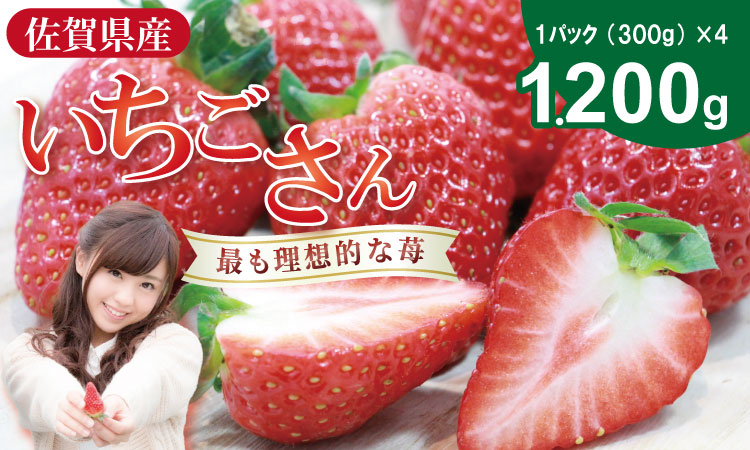 【先行予約令和8年2月配送開始】いちごさん 4箱セット（1200g）　佐賀県産 苺　ふるかわ農園 イチゴ　送料無料 農家直送品 果物 くだもの フルーツ 人気 ランキング  高評価