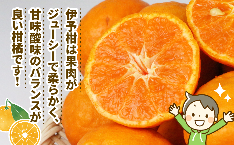 みかん 伊予柑 7.5kg ワールドファーマーズ 先行予約 いよかん 蜜柑 mikan 愛媛みかん 愛媛蜜柑 愛媛ミカン 柑橘 果物 くだもの 愛媛県産 ミカン 宇和島みかん 吉田みかん フルーツ 数