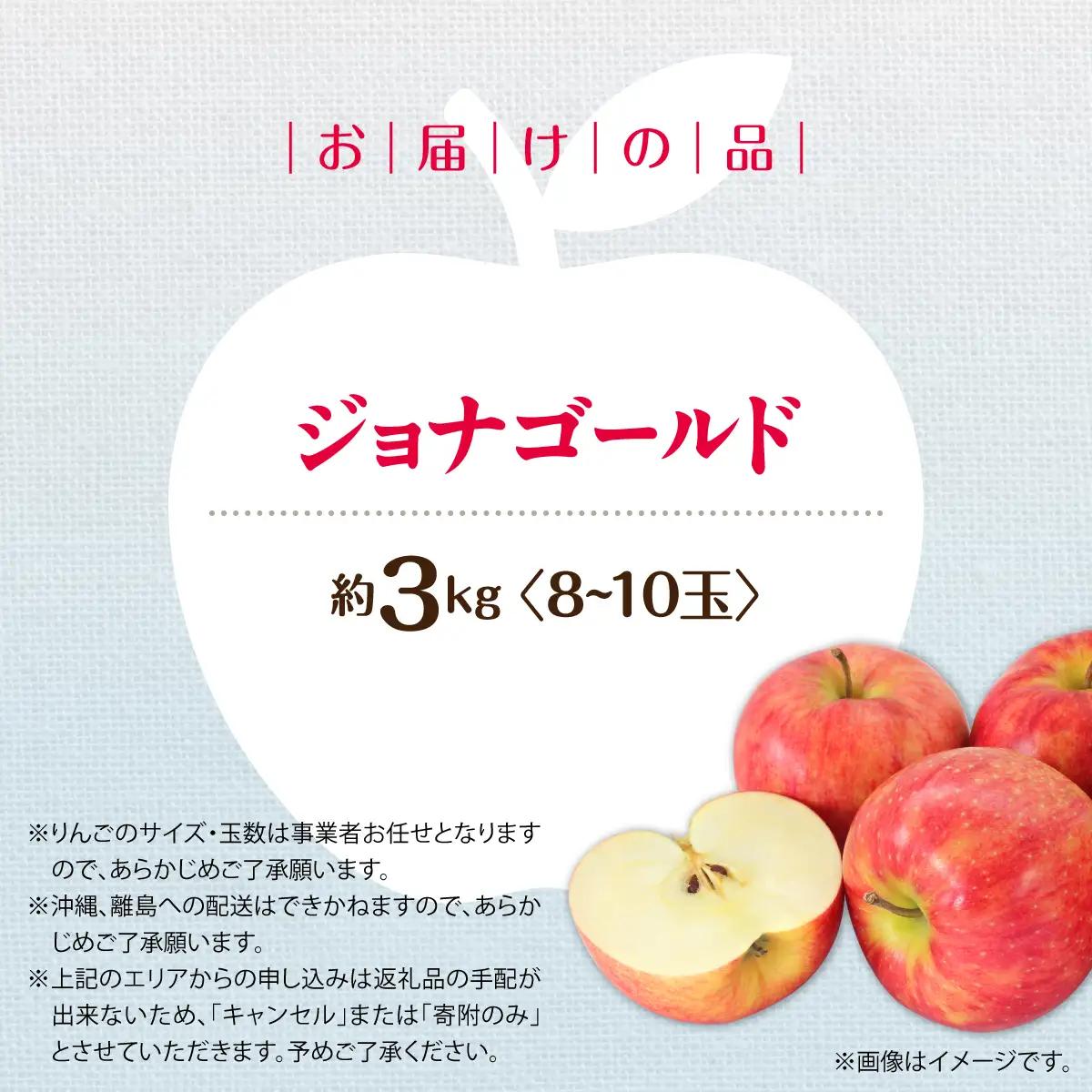 【先行予約】＜2026年10月下旬よりお届け＞北海道壮瞥町　りんご　品種名「ジョナゴールド」8～10玉約3kg SBTF018