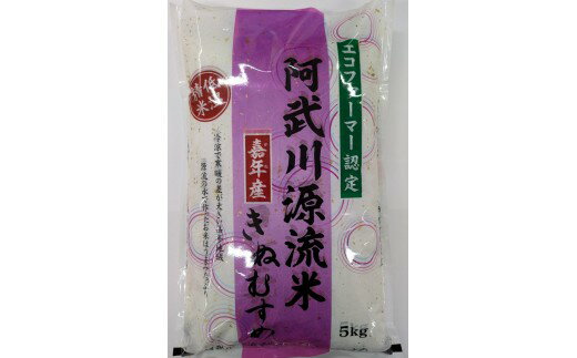 D548【ふるさと納税】 阿武川源流米きぬむすめ白米5kg