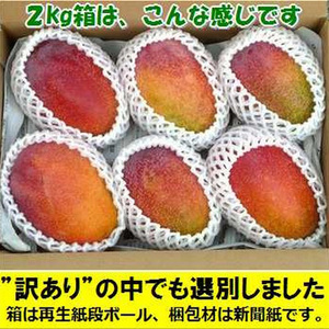 【予約受付】石垣島産 《訳あり・ご自宅用マンゴー》 約2kg エコ箱入り(3～6個入り) 2025年6月中旬～順次発送 SI-30-2