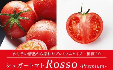 【先行予約・2024年2月】シュガートマト ロッソプレミアム10（糖度10度以上） 1kg 高糖度 フルーツトマト