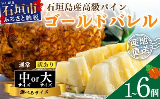 
                  石垣島産 ゴールドバレルパイン 【通常・訳あり】【選べるサイズ】  パイン 果物 パイナップル 常温 期間限定 沖縄県 石垣市
                