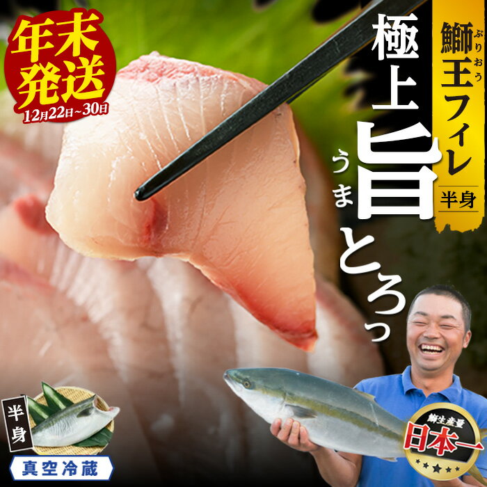 【ふるさと納税】＼年末年始発送も選べる／ テレビで紹介ぶりの王様「 鰤王 」 フィレ 1枚 半身 切り身 真空パック 産地直送 長島町 ふるさと納税 ぶり 鰤 冷蔵配送 ぶり 刺身 ぶりしゃぶ 鰤しゃぶ たたき ふるさと 人気 ランキング 【JFA】jfa-7f