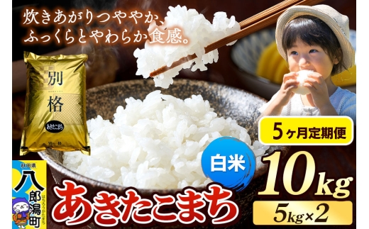 《令和8年産 新米》《定期便5ヶ月》米 あきたこまち 10kg（5kg×2袋）【白米】秋田県産 [新米 米 コメ 白米 あきたこまち おいしい 美味しい 安全 自然の恵み]