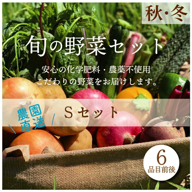 
都内マルシェで人気のお野菜！ 秋冬 旬の野菜セットSサイズ(6品前後) F21R-211
