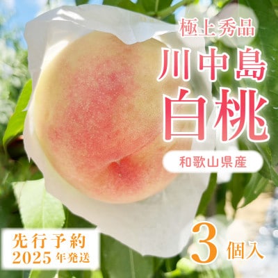 桃先行受付!　【川中島白桃】大玉特秀品　食べきりやすい3個入り　こだわり農家厳選!【配送不可地域：離島】【1524938】
