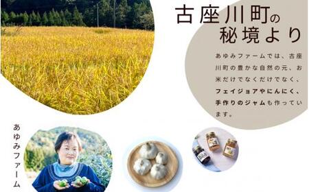 秘境の地からお届けする あゆみファームのお米 にこまる 5kg【2週間以内に順次発送】/ 米 お米 にこまる 5kg 精米 和歌山【aym013】