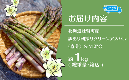 【2026年予約】【訳あり】朝採りグリーンアスパラ（春芽）S-M混合 約1kg 北海道壮瞥町産 SBTAJ038
