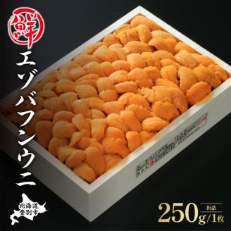 特選 エゾバフンウニ 折詰 250g ウニ丼約3杯分 配送期間 B:10月下旬から11月下旬　[mh-0471_B]