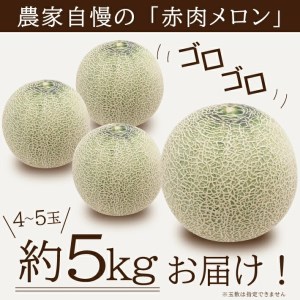 SA2869　庄内メロン/赤肉　レノンウェーブ　約5kg(4～5玉入)