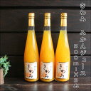 【ふるさと納税】きわみ100％ストレートみかんジュース500ml×3本