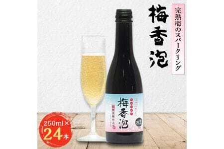 《完熟梅のスパークリング》 梅香泡 (うめかほう) 24本入 | 能勢酒造株式会社