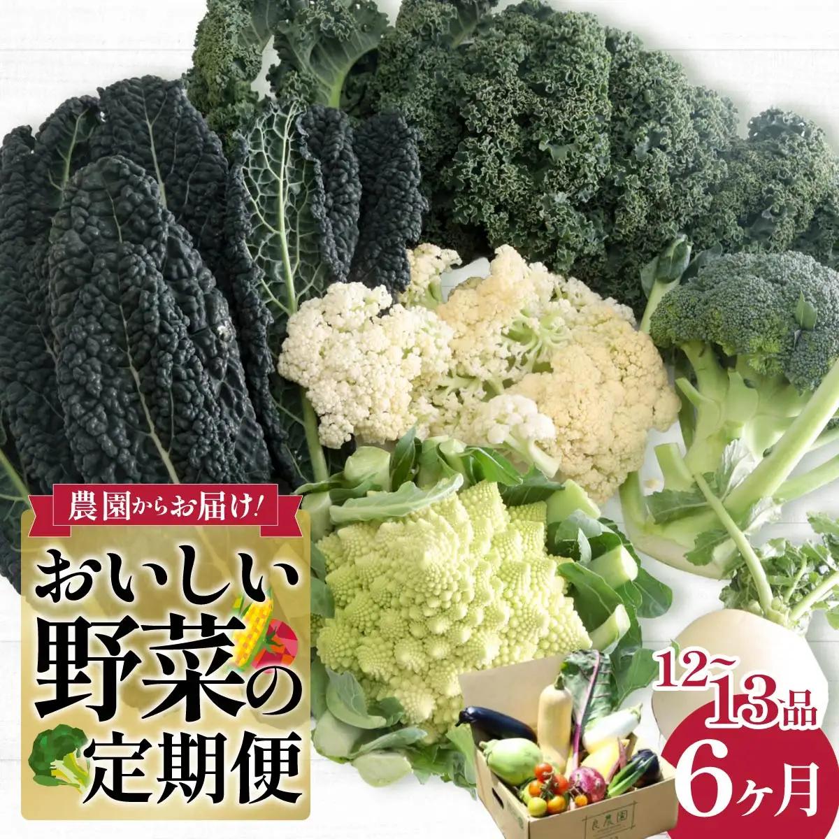 野菜ソムリエが送る 旬野菜セット 12～13品 6回 定期便 西洋野菜 | やさい