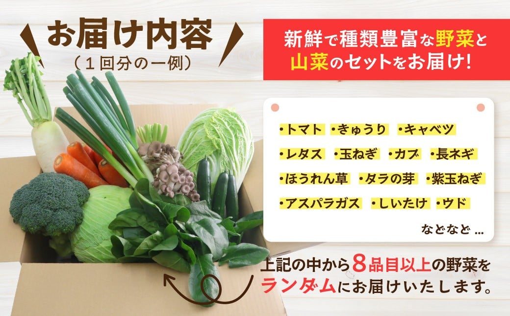 新鮮で種類豊富な野菜と山菜のセットをお届け！