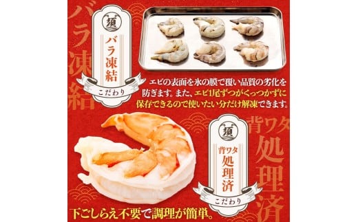 【 3ヶ月 定期便 】 むき えび ブラックタイガー 1.2kg x 3回 背ワタなし 保水剤無添加 冷凍 高級 下処理済 エビ 海老 人気 殻 むき 時短 特大 大型 大容量 無保水 【定期便3回】