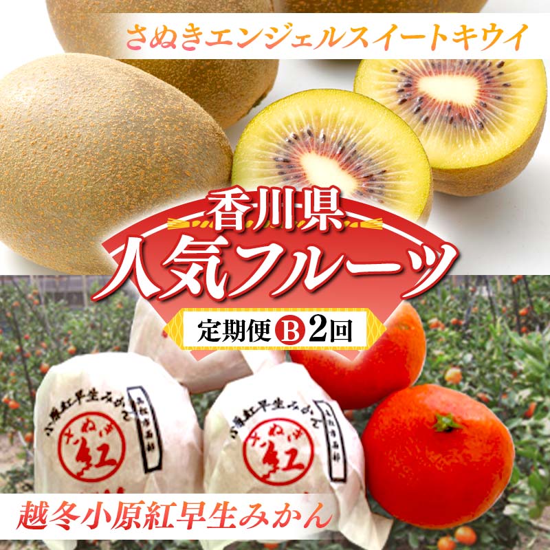 【ふるさと納税】【人気フルーツ定期便B 2回】 《さぬきエンジェルスイートからスタート》 さぬきエンジェルSキウイ 約1kg 越冬小原紅早生 約1kg キウイ キウイフルーツ みかん 柑橘 旬 果物 国産 香川県 フルーツ定期便 F5J-928