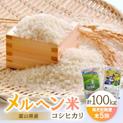 【ふるさと納税】【毎月定期便】富山県メルヘン米コシヒカリ計100kg(20kg×5回)全5回【4013234】