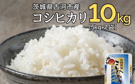 【新米】令和7年産 古河市のお米 コシヒカリ 10kg(5kg×2袋） | 米 こめ コメ 10キロ こしひかり コシヒカリ 古河市産 茨城県産 贈答 贈り物 プレゼント 茨城県 古河市 直送 産地直送 送料無料 着日指定可 着日指定OK ※2025年9月上旬頃より順次発送予定 _DP90