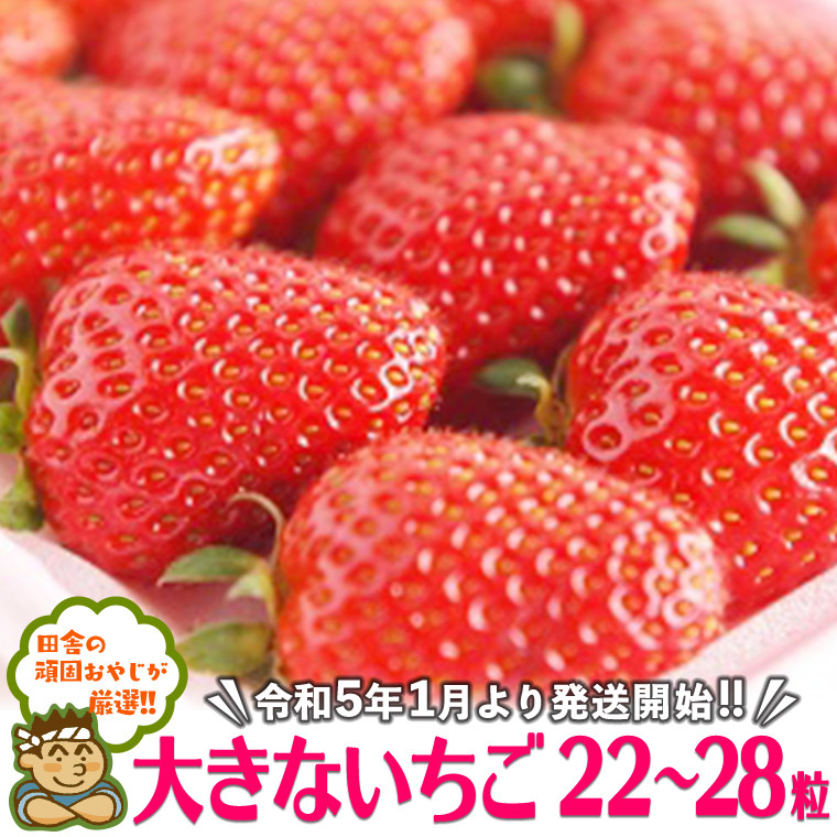 
大きなイチゴ22～28粒【令和5年1月より発送開始】田舎の頑固おやじが厳選！
