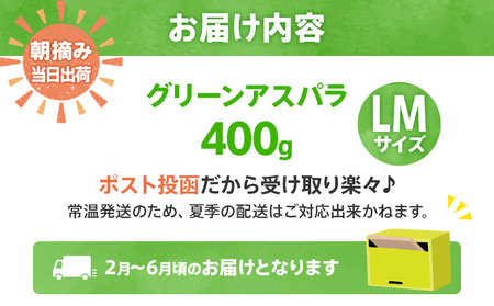 おためし 予約 数量限定 アスパラ LM サイズ 400g 朝採り 直送 グリーンアスパラガス 朝採れ 【2025年2月から6月お届け】 BT12
