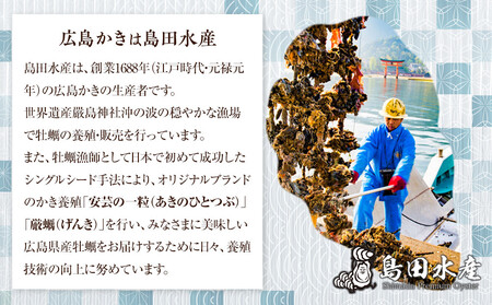 島田水産　Shimada　Oyster　生かき500ｇ（加熱用）