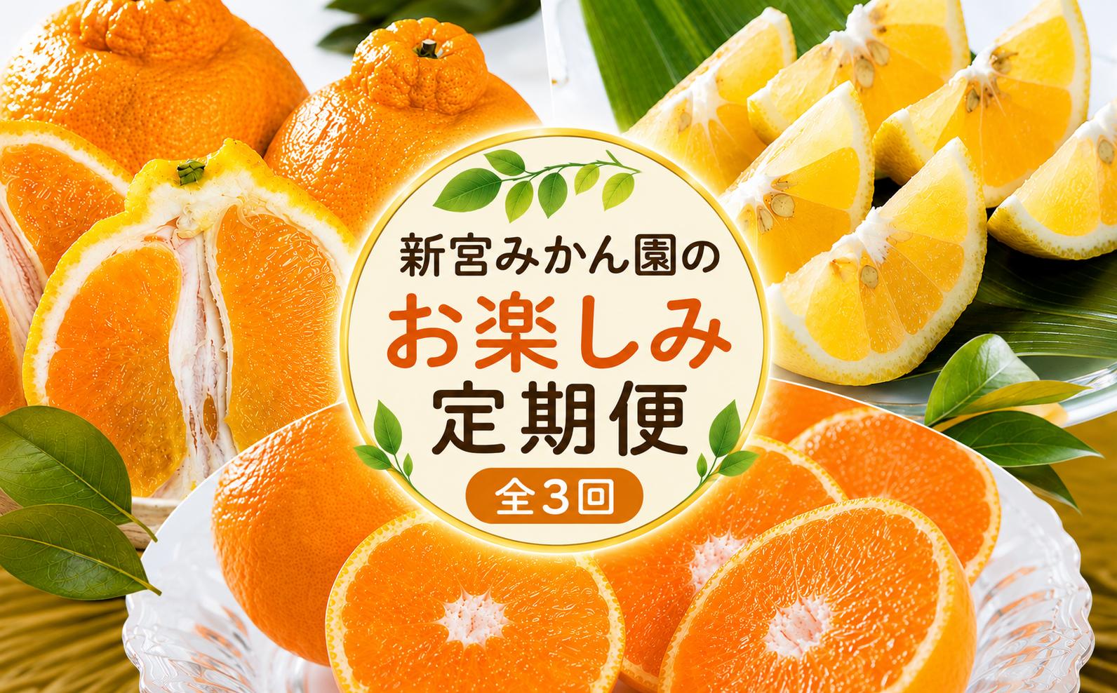 
                  Q51x1 新宮みかん園のお楽しみ定期便　３回コースみかんミカン蜜柑温州みかんふるさと納税有明海定期便柑橘甘い果物フルーツ新宮みかん園佐賀県太良町 【2026年11月上旬～2027年5月中旬発送予定】
                