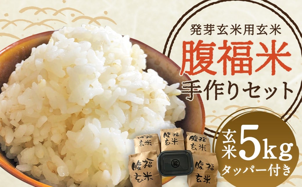 
            発芽玄米用 玄米 腹福米 手作り セット 5kg タッパー ヒノヒカリ 【2025年11月上旬より発送開始】
          